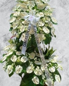 beautiful flower in the garden