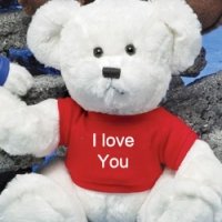 White teddy w/ shirt